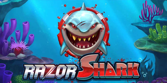 Slot Razor Shark Gacor Pagi Ini Waktu Terbaik Untuk Raih Kemenangan